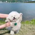 提問者頭像