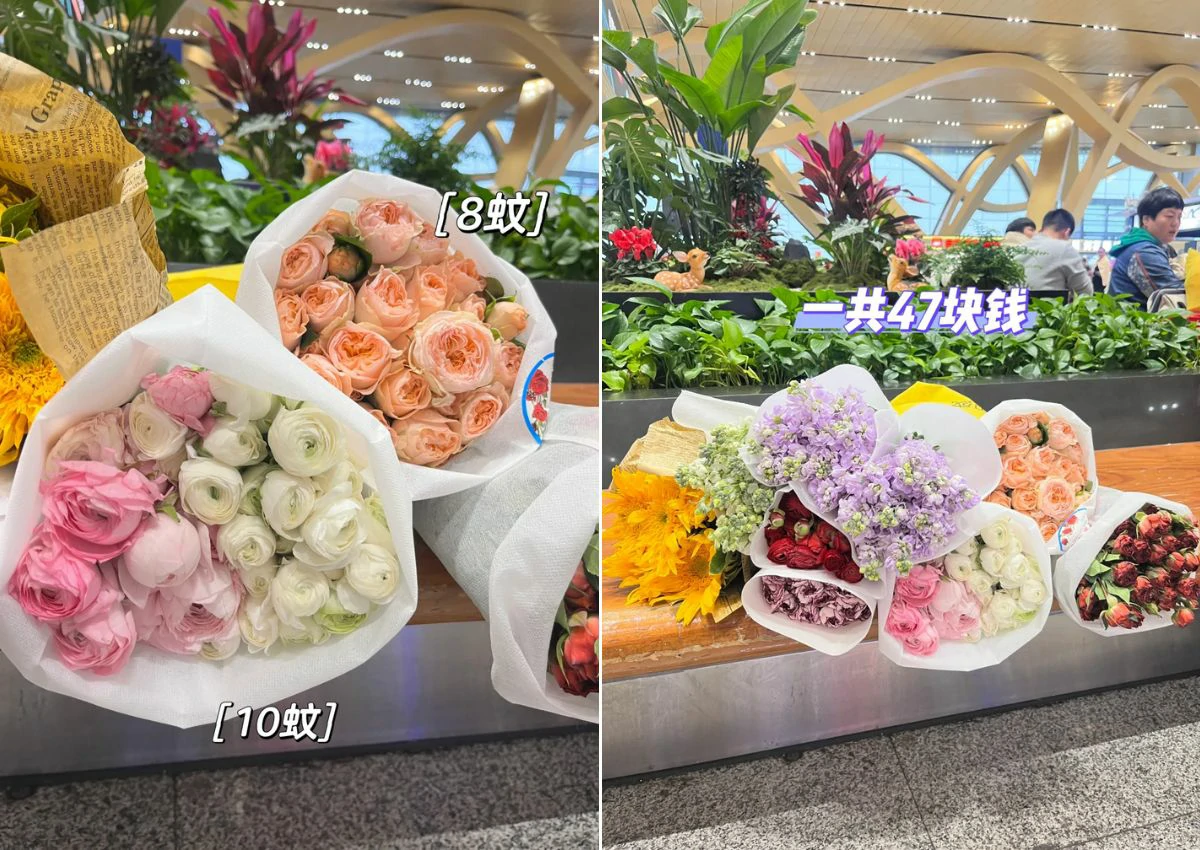 雲南